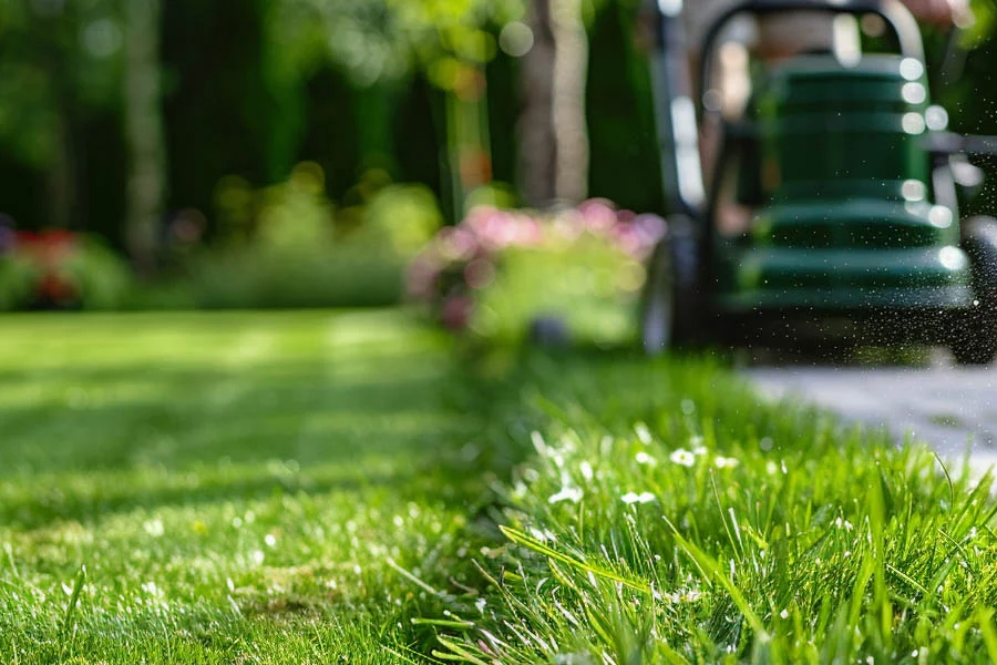 electric lawnmower